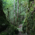 passage entre les deux rochers passage entre les deux rochers