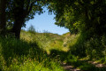 Passage entre les haies et la forêt