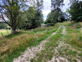 Passage par le sentier herbeux Passage par le sentier herbeux