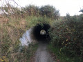 Passage sous la voie rapide