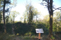 Tour du Mont Chanzet à partir de Panossas