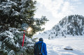 Passages en forêt