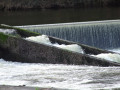 Passe à poissons