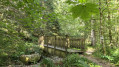 Passerelle au-dessus de la Petite Meurthe