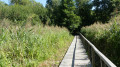 Carrières de grès, Moulin d'Ors, Pont du Gar, Moulin des Vassaux, GorgesCur