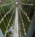 Passerelle de corde