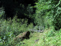 Passerelle de Dière Passerelle de Dière