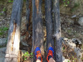 Passerelle de fortune