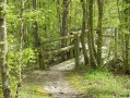 Passerelle de l'étang chevalier