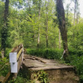 Passerelle des Intrépides