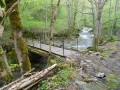 Passerelle du Moulinet