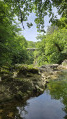 Saut du Thorrey Footbridge