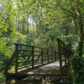 Passerelle pour "couper"