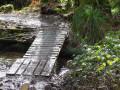 Passerelle rustique