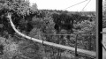 Traversée des bois de la Semois, errance pédestre.