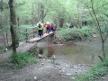 Passerelle sur l'Autize