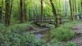 Le Lac de Mervent - Château de la Citardière - Pont du déluge