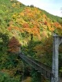 Passerelle sur la rivière Tama