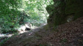 Passerelle sur la Selves