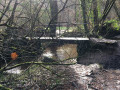 Passerelle sur le Cens