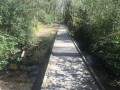 Passerelle sur le chemin