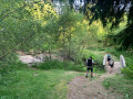 Passerelle sur le Lagnon