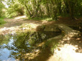 Passerelle