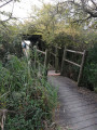 passerelle