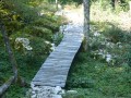 Passerelle