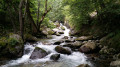 Ruisseau