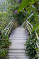 Passerelle