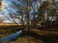 In search of the lost Suffolk village of Hethern