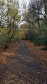 Path close to Ambresbury Banks