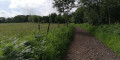 Circular walk in Mendip Hill