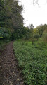 Brawn's and Cheristow woods from Hartland Brawn's and Cheristow woods from Hartland