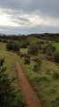 Path in nature along Windrush Valley