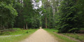 Path in the New Forest National Park