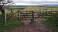 Path leading to Tynings Farm