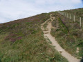 Path leading up from the valley floor