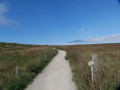 Around Godrevy Headland