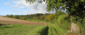 Path to Berkhamsted Common