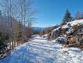 From Schilpario (Fondi) to the Campione Refuge, a winter route