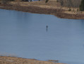 Patineur sur le lac des Mortes en hiver
