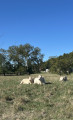De Clachaloze à Tripleval