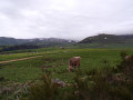 Col de la Croix Morand - Courbanges