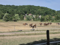 Passage à quatre haras depuis Buc par Les Loges-en-Josas