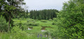Paysage (1)