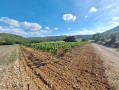 Paysage &agrave; c&ocirc;t&eacute; du GR 9