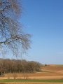 Paysage à la sortie du bois.