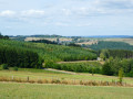 Promenons-nous dans le bois vers Vivy